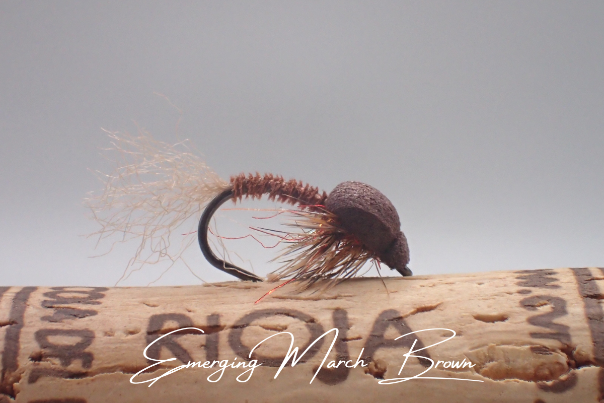Emerging March Brown