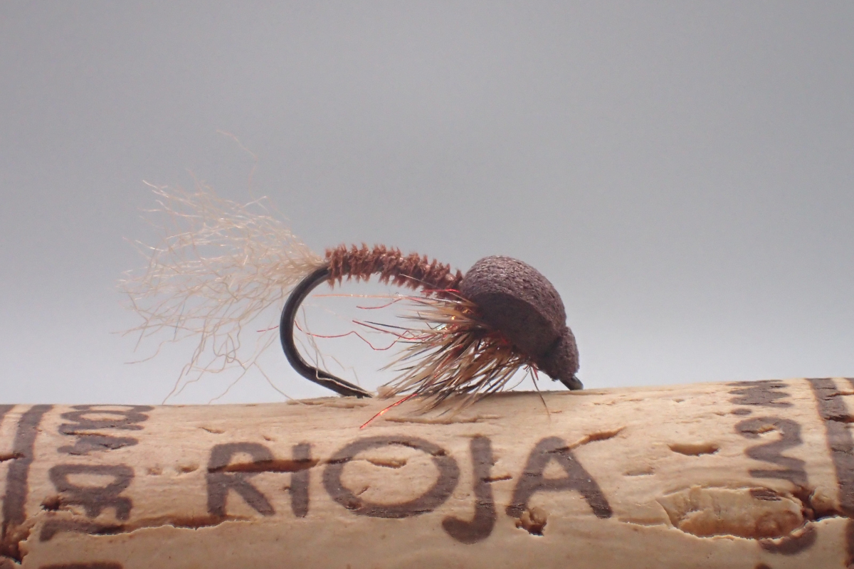 Emerging March Brown