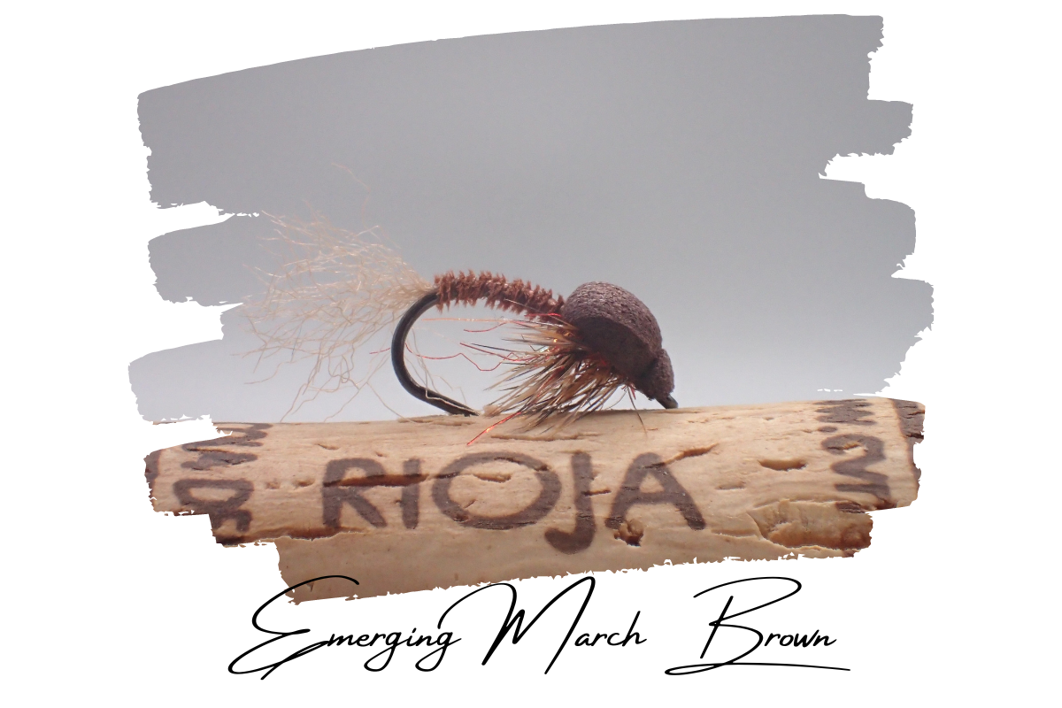 Emerging March Brown
