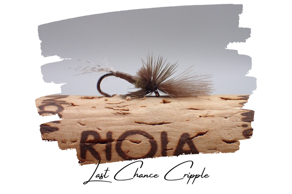 Last Chance Cripple